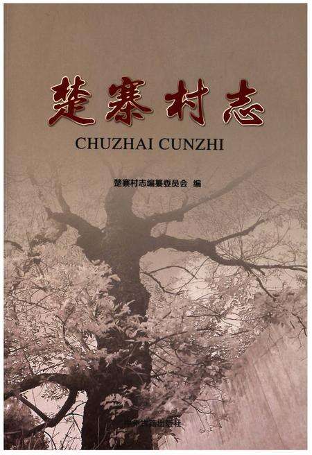 《楚寨村志》.pdf电子版_河南省志缩略图