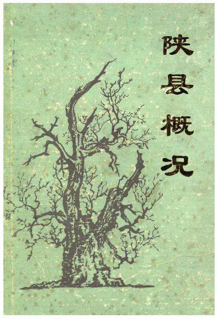 《陕县概况》.pdf电子版_河南省志缩略图