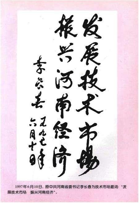 《金色的桥梁——河南技术市场大事记》.pdf电子版_河南省志预览图5