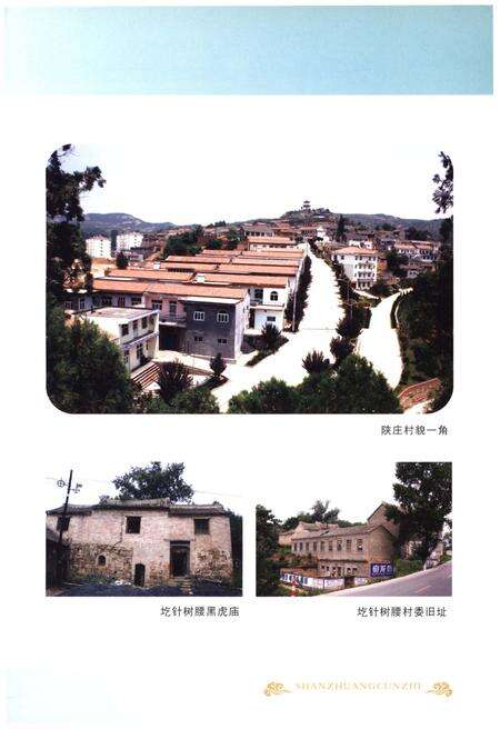 《陕庄村志》.pdf电子版_河南省志预览图5