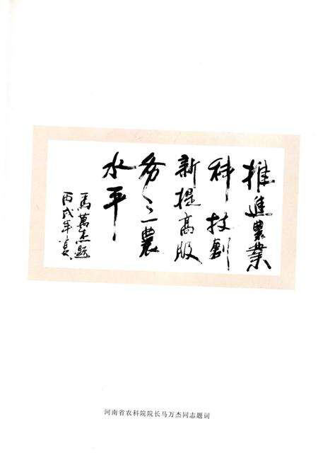 《洛阳市农业科学研究所志（1941-2006）》.pdf电子版_河南省志预览图5