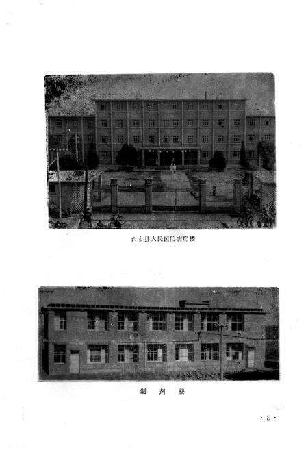 《内乡县卫生志》.pdf电子版_河南省志预览图4