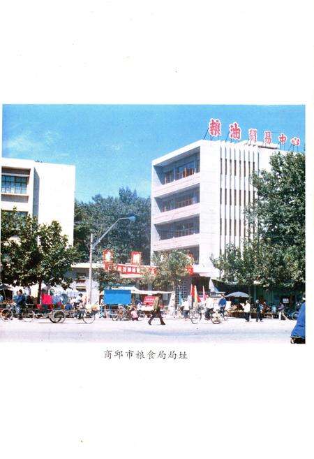 《商丘市粮食志》.pdf电子版_河南省志预览图3