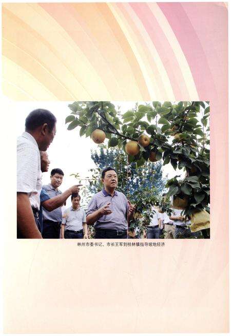 《桂林镇志》.pdf电子版_河南省志预览图5