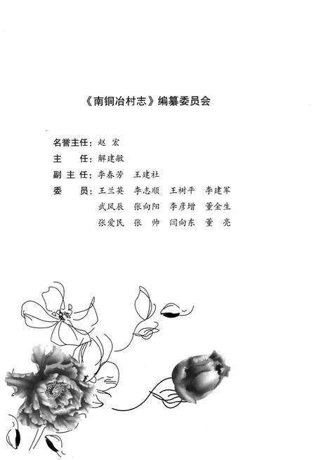 《南铜冶村志》.pdf电子版_河南省志预览图3