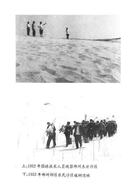 《郑州文史资料 第十辑（郑州绿化园林）》.pdf电子版_河南省志预览图3