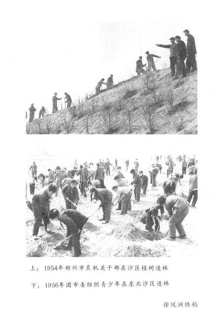 《郑州文史资料 第十辑（郑州绿化园林）》.pdf电子版_河南省志预览图4