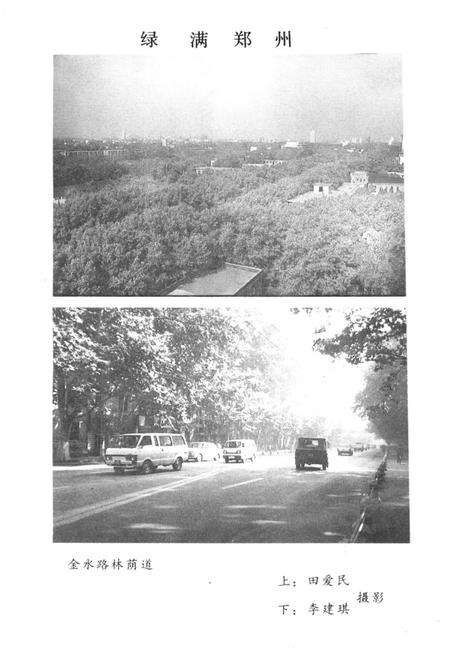 《郑州文史资料 第十辑（郑州绿化园林）》.pdf电子版_河南省志预览图5