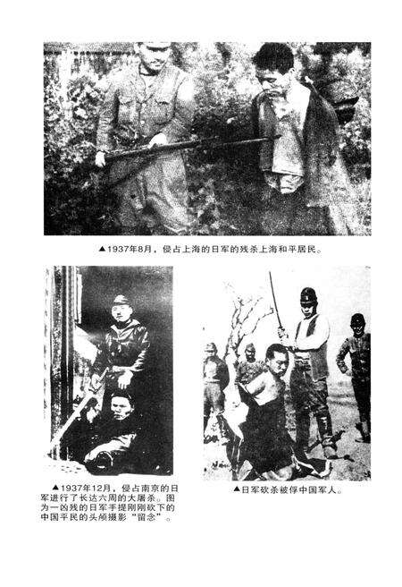 《平桥区文史资料专辑（总第四辑）》.pdf电子版_河南省志预览图3