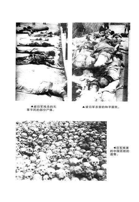 《平桥区文史资料专辑（总第四辑）》.pdf电子版_河南省志预览图5