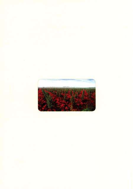 《漯河市林业园林志 1986-2012》.pdf电子版_河南省志预览图4