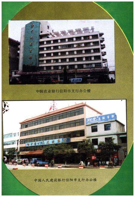 《信阳市金融志》.pdf电子版_河南省志预览图5