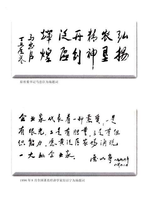 《黄泛区农场志.大事记》.pdf电子版_河南省志预览图4