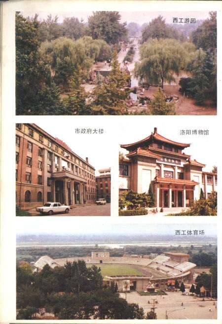 《洛阳市西工区志》.pdf电子版_河南省志预览图5
