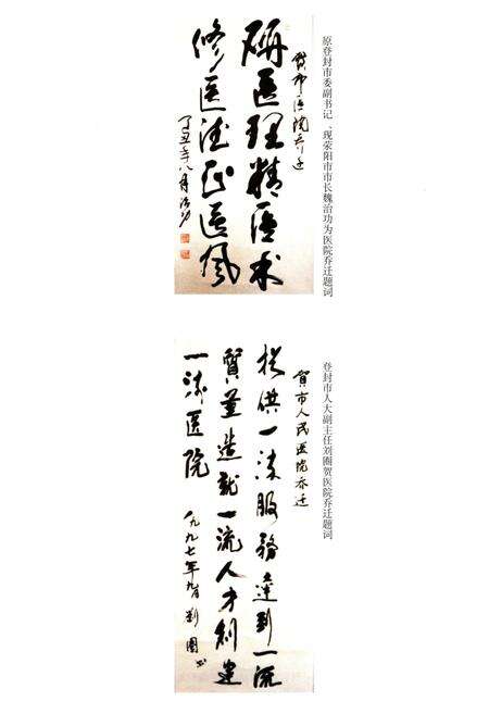 《登封市人民医院院志 1951-2001》.pdf电子版_河南省志预览图4