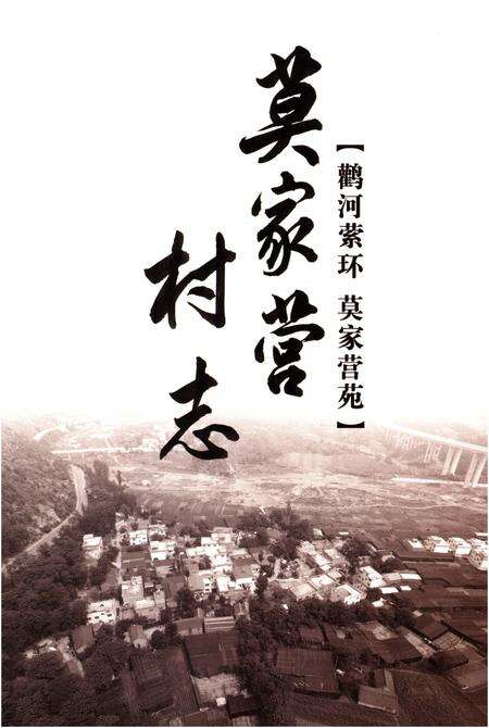《莫家营村志 卢氏县地方志 村志系列 二十九》.pdf电子版_河南省志预览图1