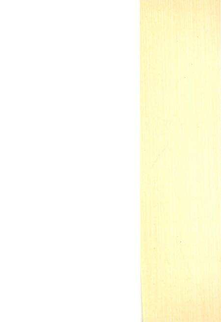 《淅川县对外经济贸易志》.pdf电子版_河南省志预览图3