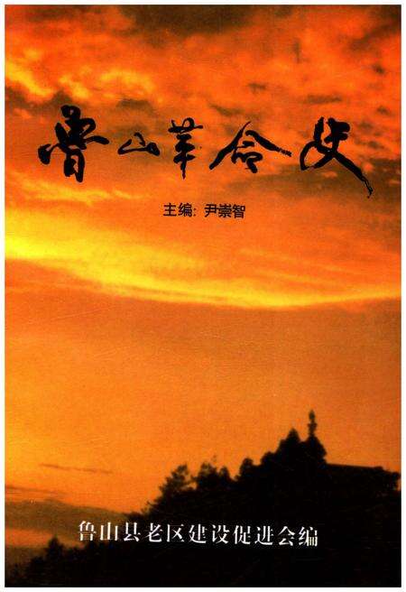 《鲁山革命史》.pdf电子版_河南省志缩略图