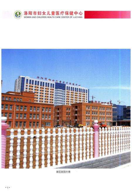《洛阳市妇女儿童医疗保健中心志 1986-1013》.pdf电子版_河南省志预览图4