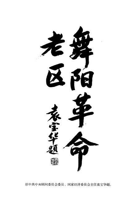 《舞阳革命老区》.pdf电子版_河南省志预览图4