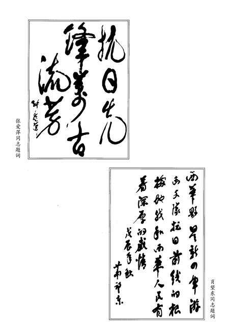 《周口革命老区》.pdf电子版_河南省志预览图4