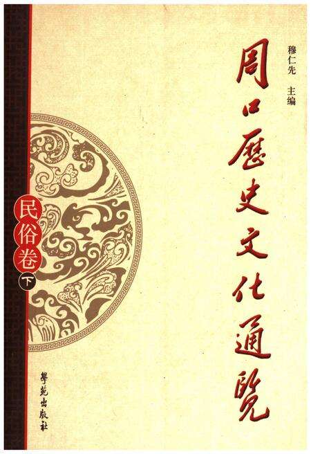 《周口历史文化通览 民俗卷下》.pdf电子版_河南省志缩略图