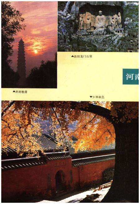 《河南县情》.pdf电子版_河南省志预览图4
