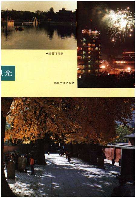 《河南县情》.pdf电子版_河南省志预览图5