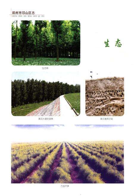 《郑州市邙山区志 1991-2003》.pdf电子版_河南省志预览图5