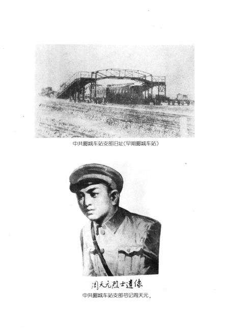 《漯河革命史》.pdf电子版_河南省志预览图4