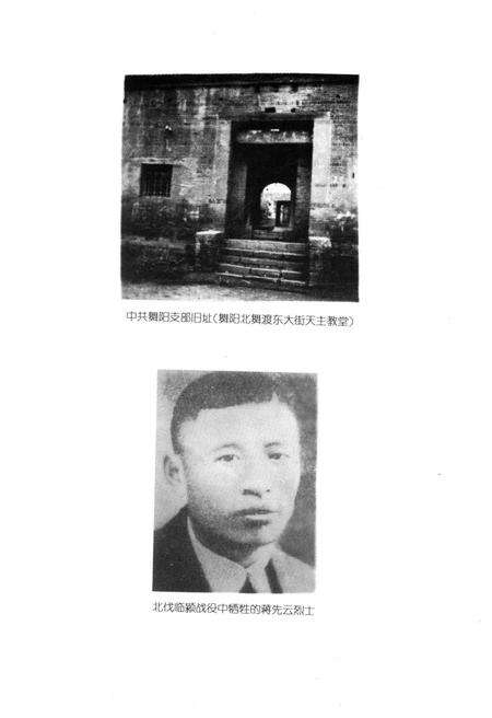《漯河革命史》.pdf电子版_河南省志预览图5