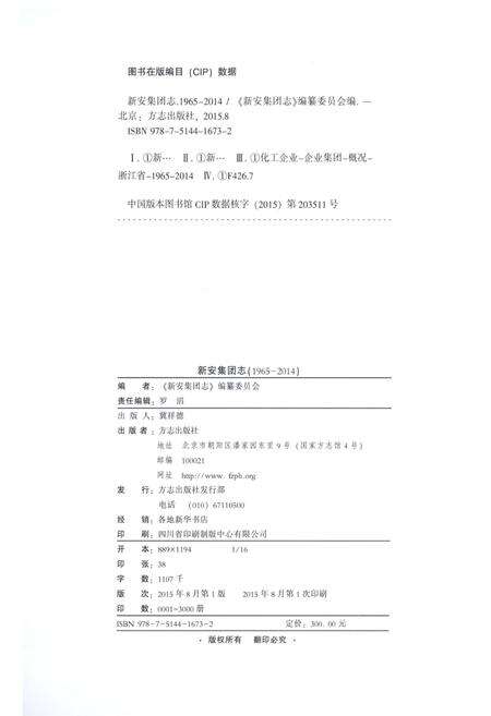 《新安集团志1965-2014》.pdf电子版_河南省志预览图2