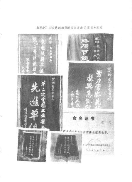 《息县电业志》.pdf电子版_河南省志预览图5