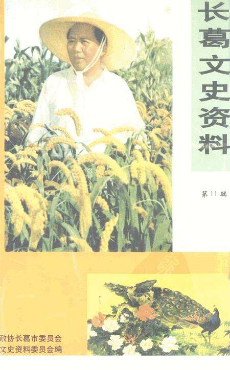 《长葛文史资料  第11辑》.pdf电子版_河南省志缩略图