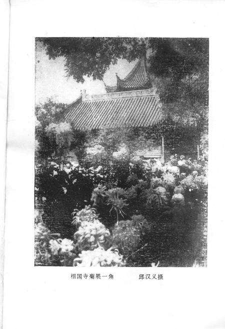 《开封民俗》.pdf电子版_河南省志预览图4