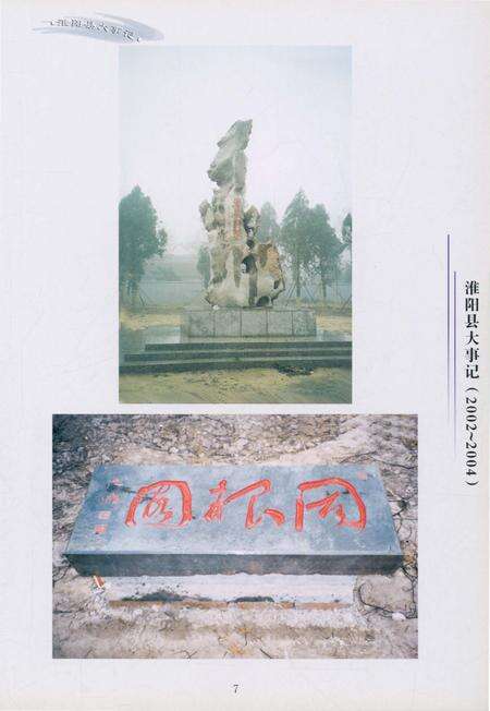 《淮阳县大事记(2002年–2004年)》.pdf电子版_河南省志预览图5