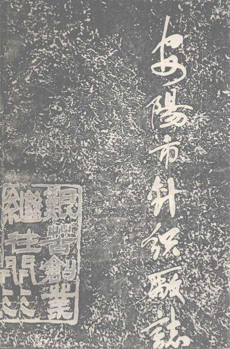 《安阳市针织厂志》.pdf电子版_河南省志缩略图