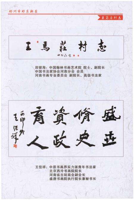 《王马庄村志》.pdf电子版_河南省志预览图3