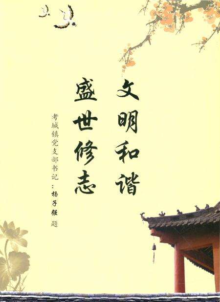 《河南省兰考县马庄寨村志》.pdf电子版_河南省志预览图3