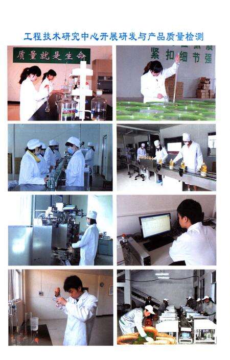 《商城县科技志》.pdf电子版_河南省志预览图5