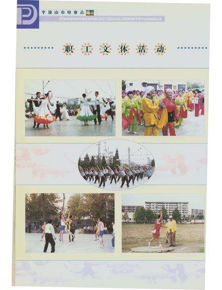 《平顶山市电志》.pdf电子版_河南省志预览图5