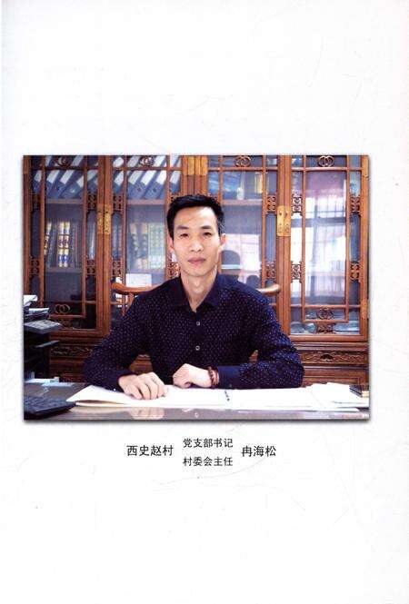 《西史赵村志》.pdf电子版_河南省志预览图2