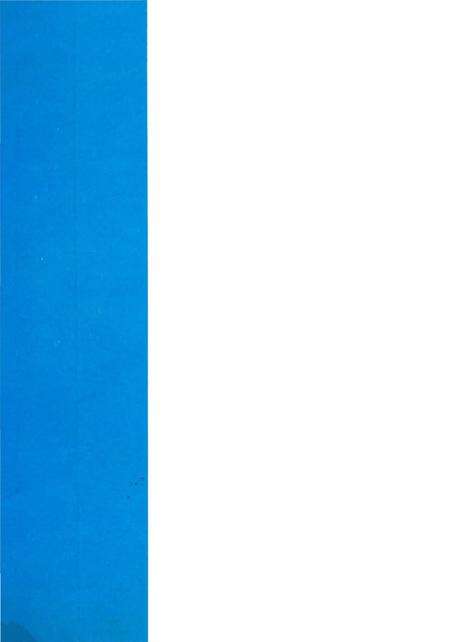 《卢氏民俗志》.pdf电子版_河南省志预览图1