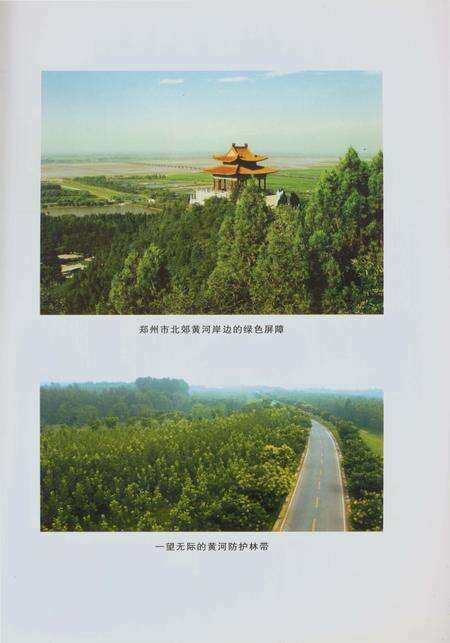 《郑州林业志综合卷（1978-2008）》.pdf电子版_河南省志预览图4