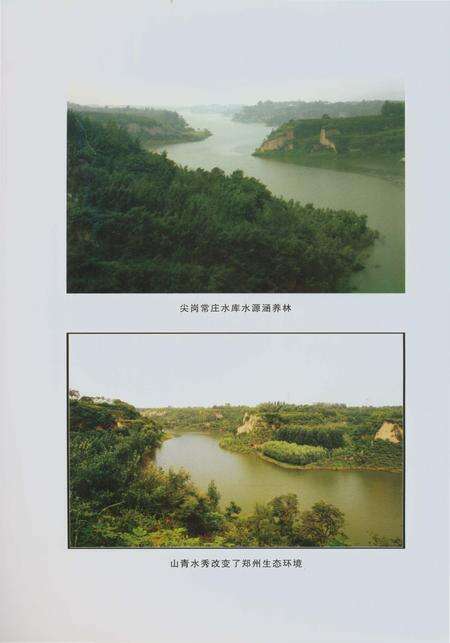 《郑州林业志综合卷（1978-2008）》.pdf电子版_河南省志预览图5