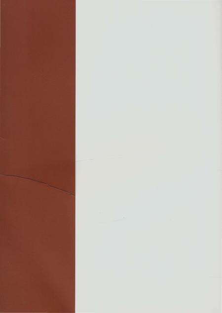 《郑州林业志巩义卷（1978-2008）》.pdf电子版_河南省志预览图1