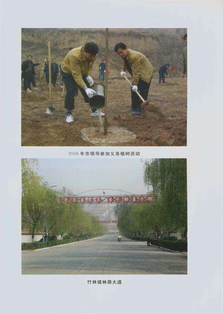 《郑州林业志巩义卷（1978-2008）》.pdf电子版_河南省志预览图4