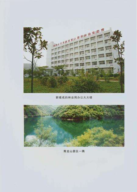 《郑州林业志巩义卷（1978-2008）》.pdf电子版_河南省志预览图5