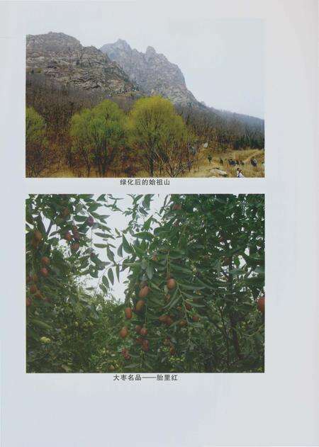 《郑州林业志新郑卷（1978-2008）》.pdf电子版_河南省志预览图4