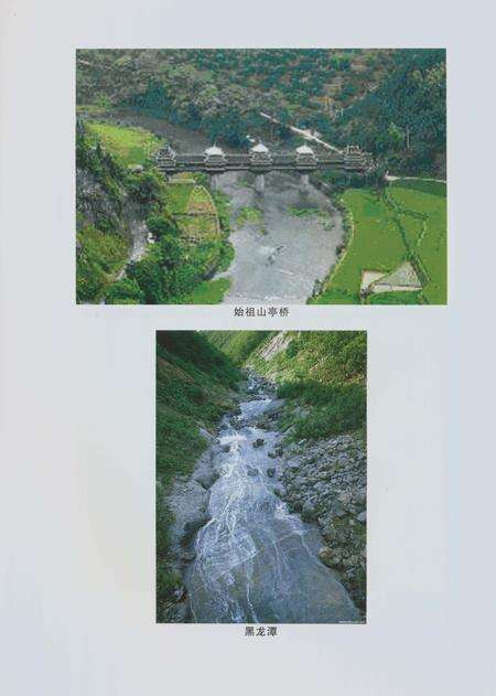 《郑州林业志新郑卷（1978-2008）》.pdf电子版_河南省志预览图5